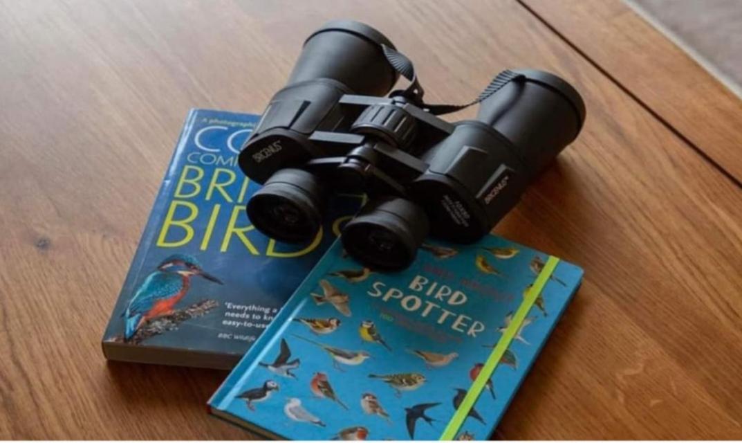 The Gull & Puffin Cresswell Βίλα Cresswell  Εξωτερικό φωτογραφία